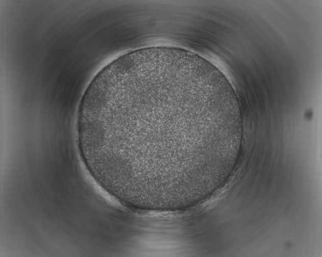 X0000116781142201001281209