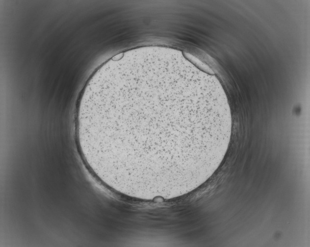 X0000116781143201001281209