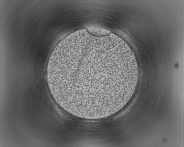 X0000116781145201001281209