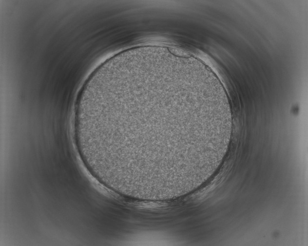 X0000116781147201001281209