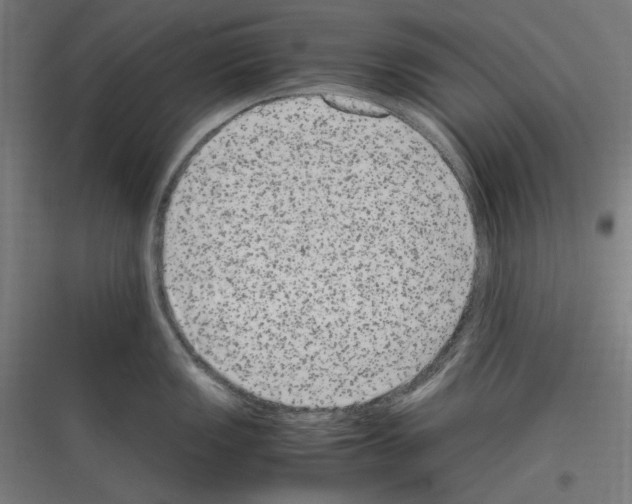 X0000116781149201001281209