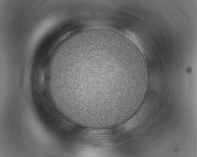 X0000116781150201001281209