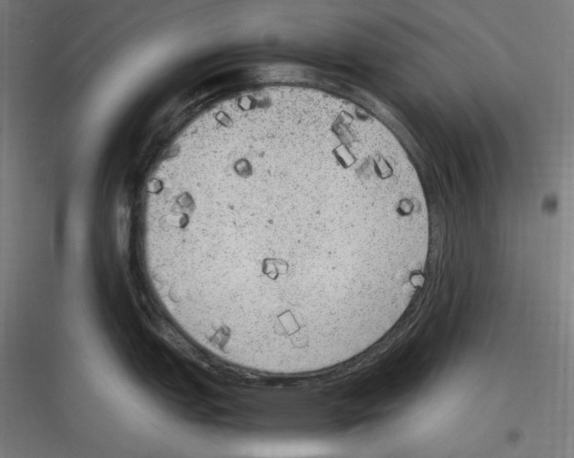 X0000116781151201001281209