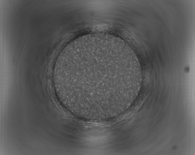 X0000116781153201001281208