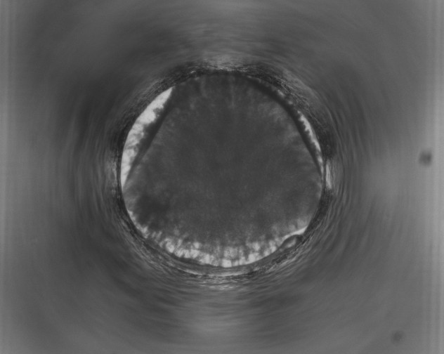 X0000116781155201001281208