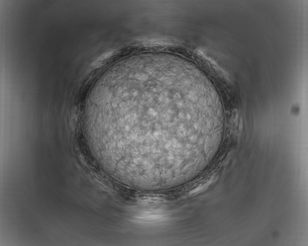 X0000116781157201001281208