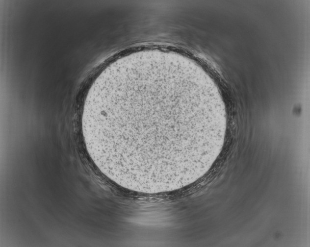 X0000116781159201001281208