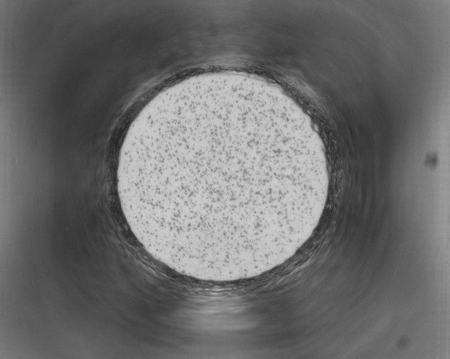 X0000116781160201001281208