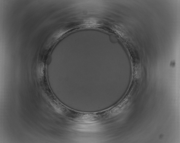 X0000116781161201001281208