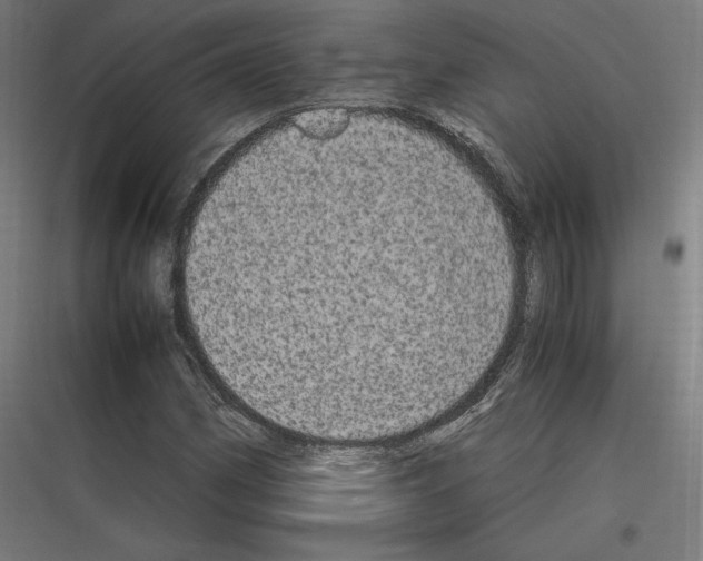 X0000116781162201001281208