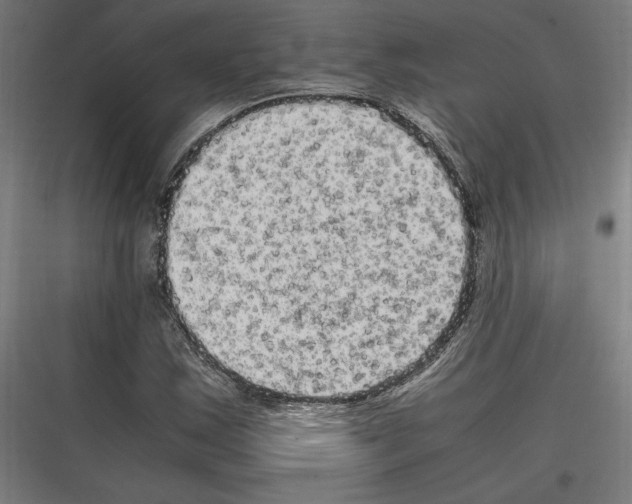 X0000116781163201001281208