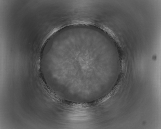 X0000116781165201001281208