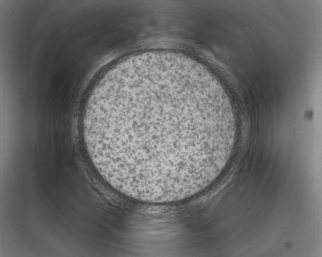 X0000116781166201001281208