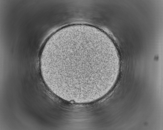 X0000116781167201001281208