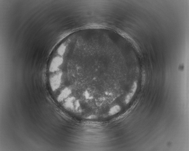 X0000116781170201001281208