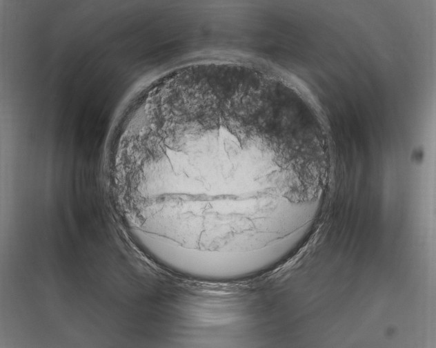 X0000116781172201001281208