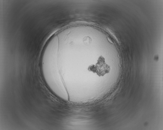 X0000116781173201001281208