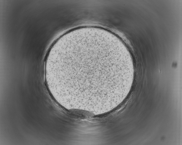 X0000116781175201001281208