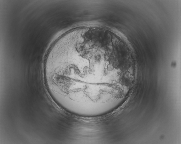 X0000116781176201001281208