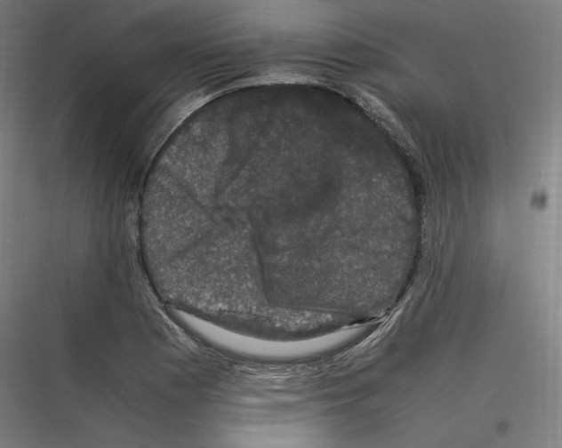 X0000116781177201001281208