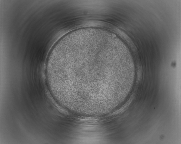 X0000116781178201001281208