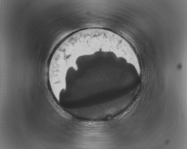 X0000116781179201001281208