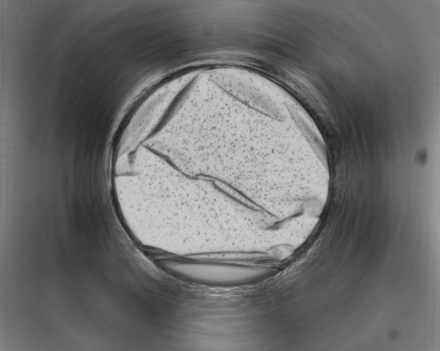 X0000116781180201001281208