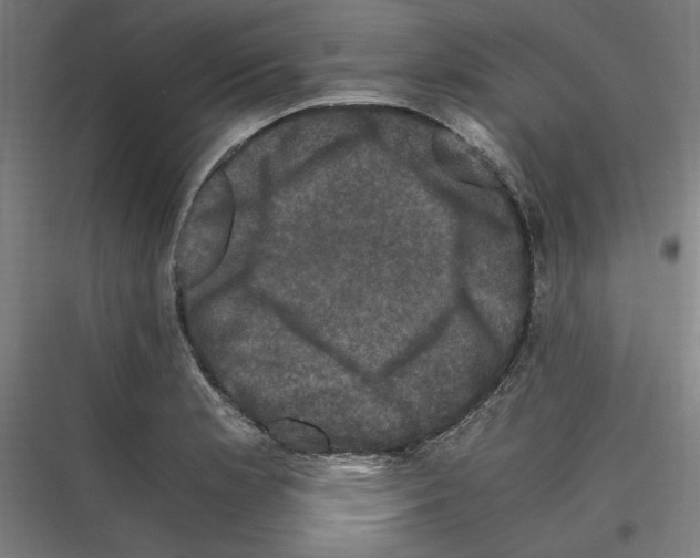 X0000116781181201001281208