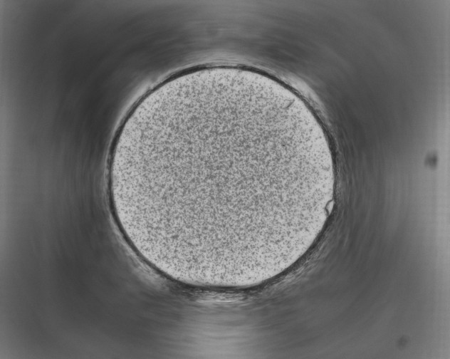 X0000116781183201001281208