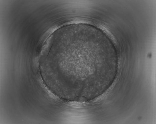 X0000116781185201001281208