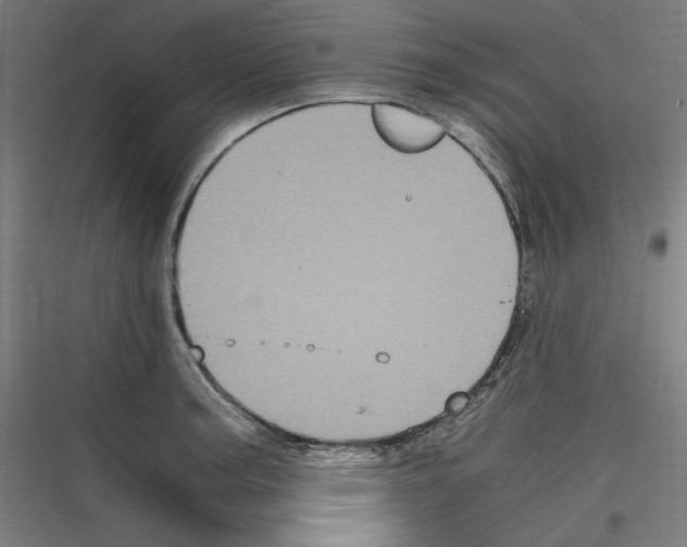 X0000116781187201001281208