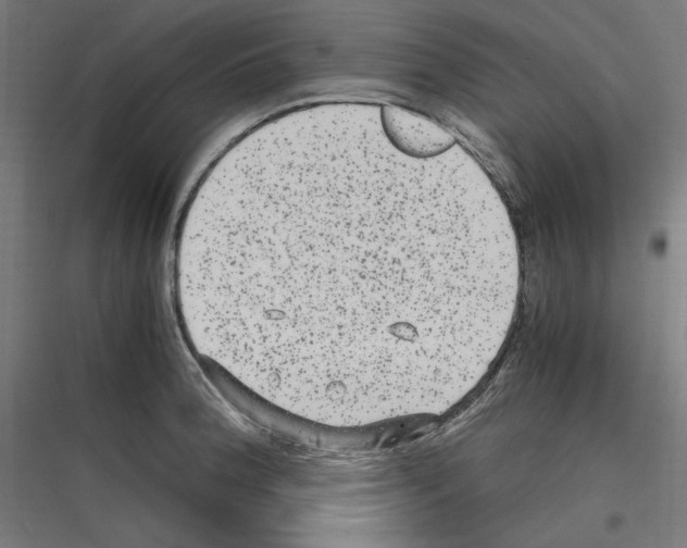 X0000116781188201001281208