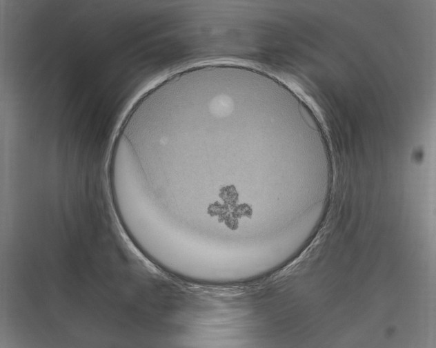 X0000116781189201001281208