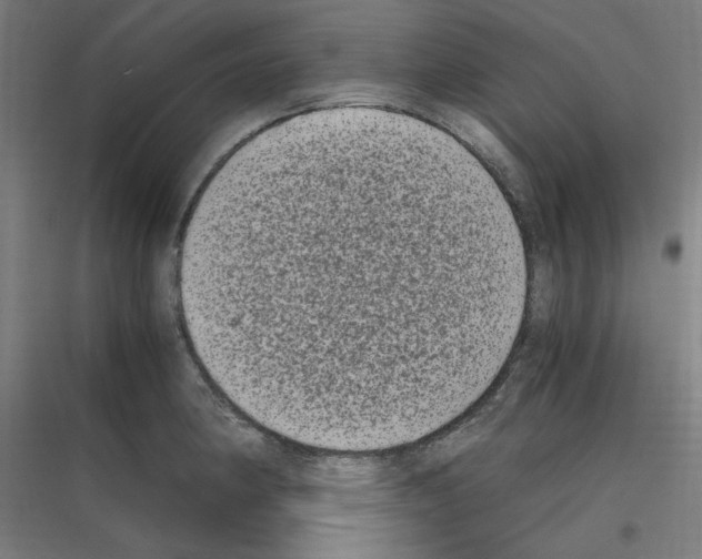 X0000116781190201001281208