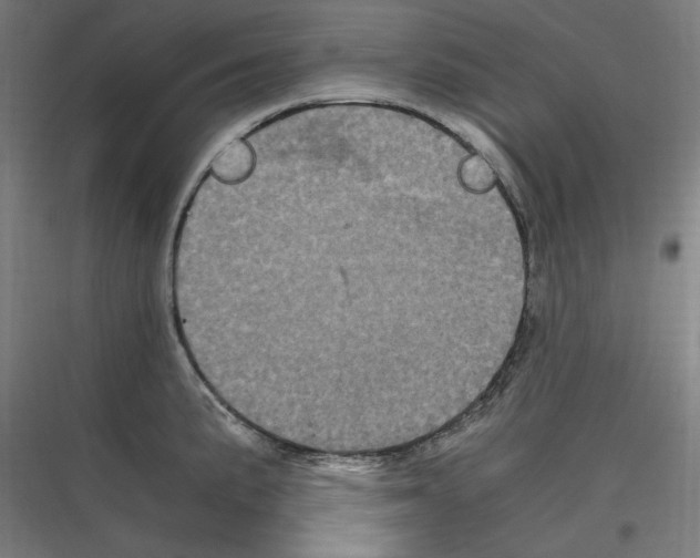 X0000116781191201001281208