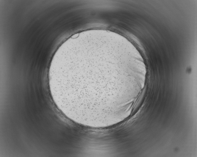 X0000116781192201001281208