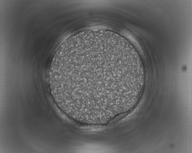 X0000116781193201001281208