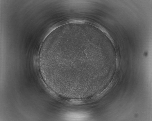 X0000116781194201001281208