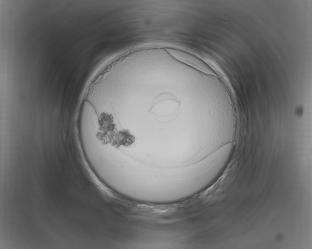 X0000116781197201001281208