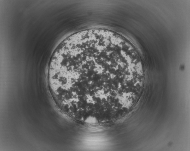 X0000116781198201001281208