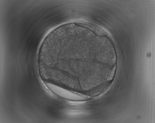 X0000116781200201001281208