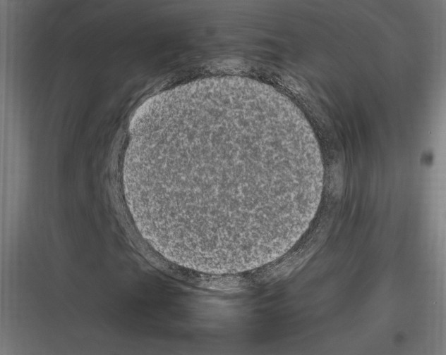 X0000116781201201001281207