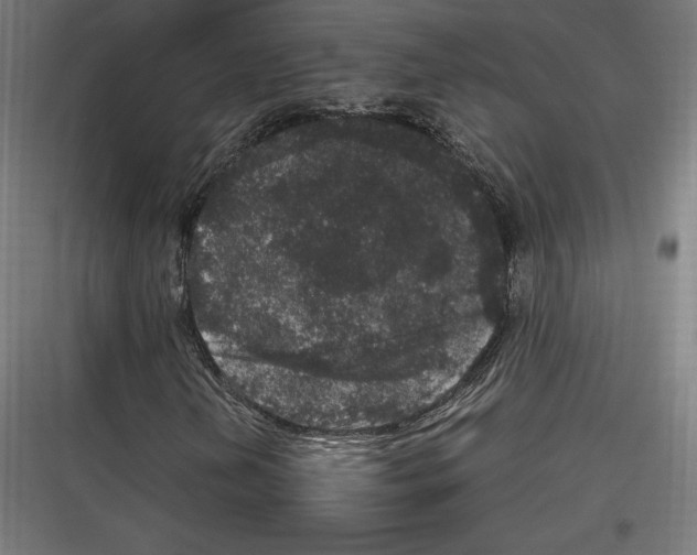 X0000116781202201001281207