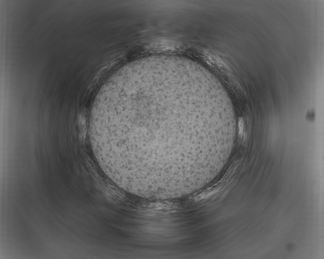 X0000116781203201001281207