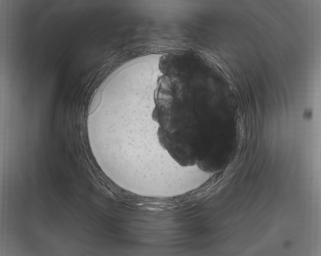 X0000116781204201001281207