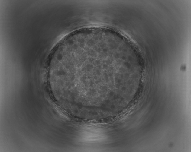 X0000116781208201001281207