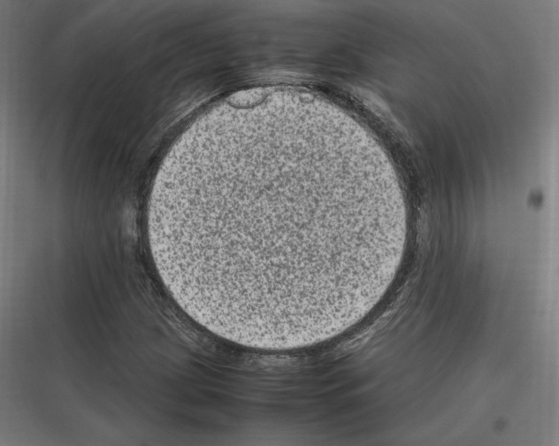 X0000116781209201001281207