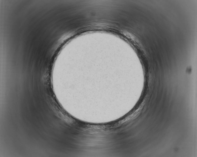 X0000116781210201001281207