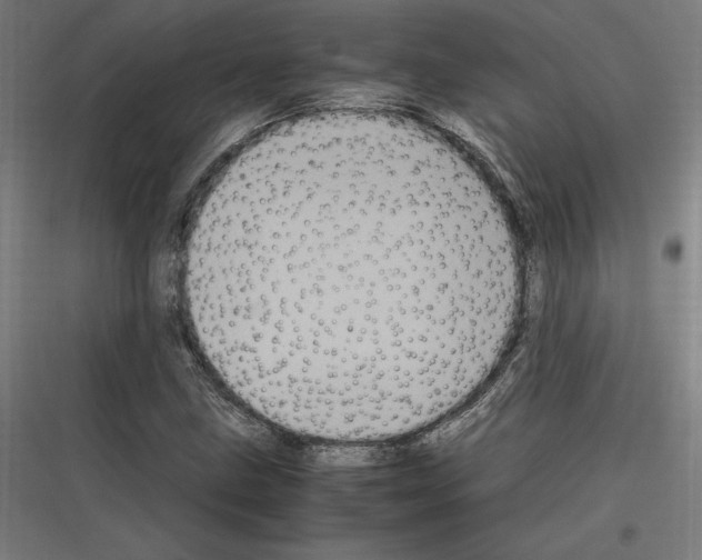 X0000116781211201001281207