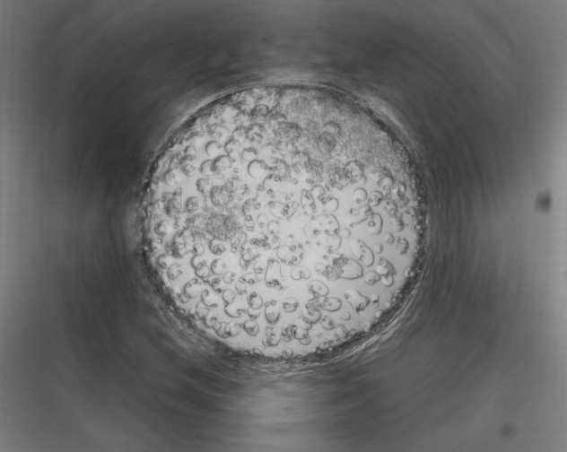 X0000116781212201001281207